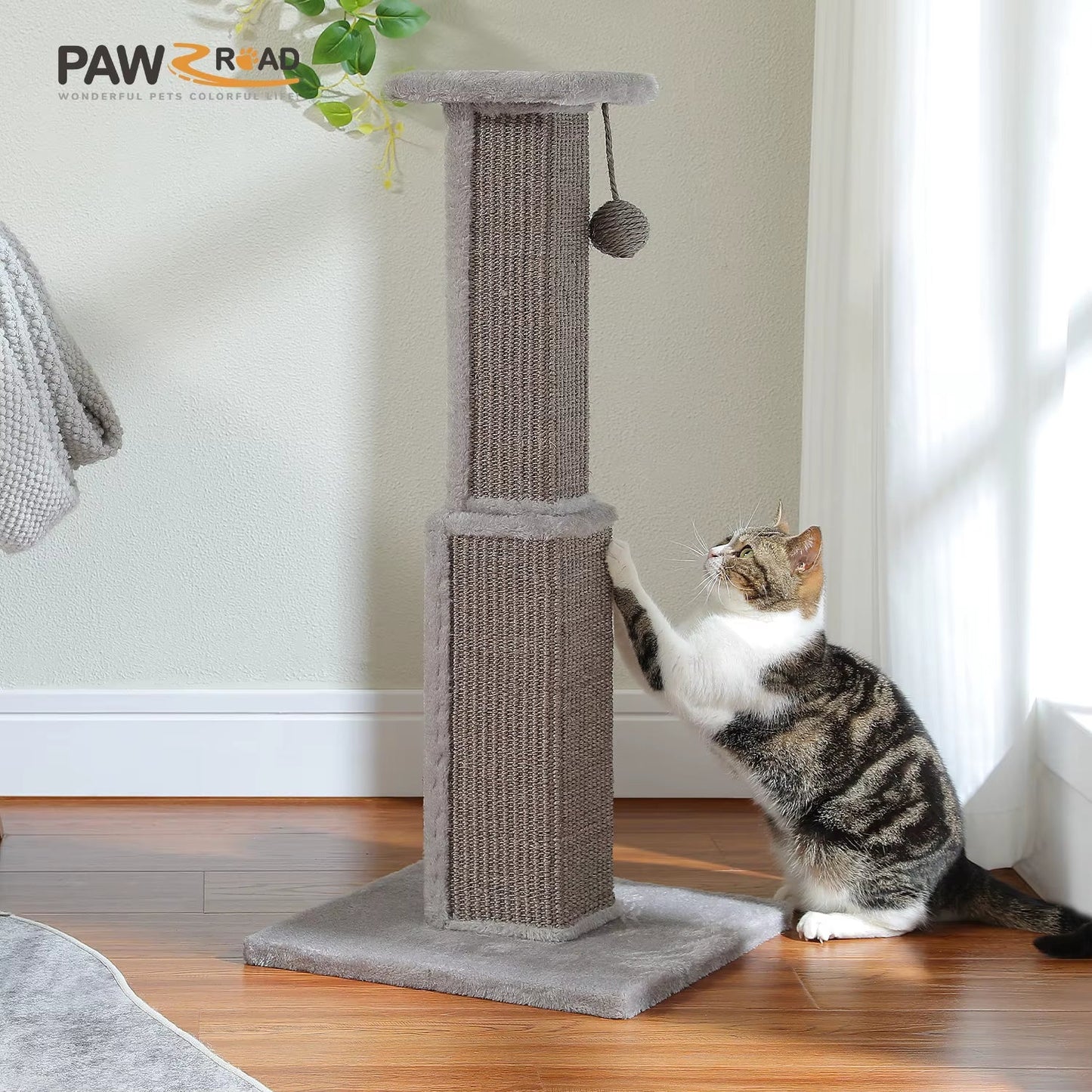 Torre Arranhadora para Gatos: Conforto e Entretenimento