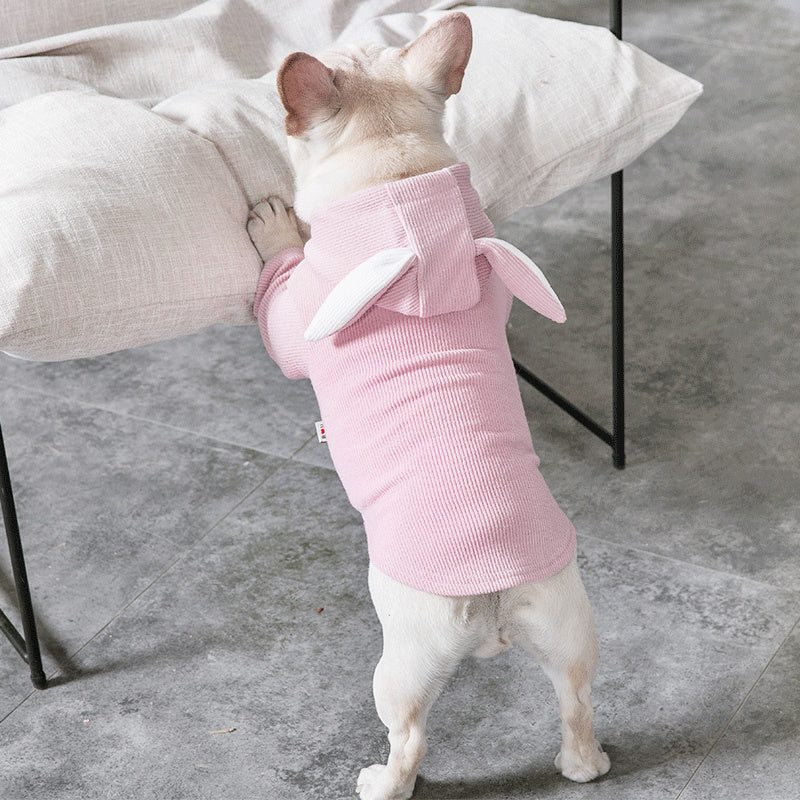 Roupas Confortáveis para Cachorros: Estilo e Proteção