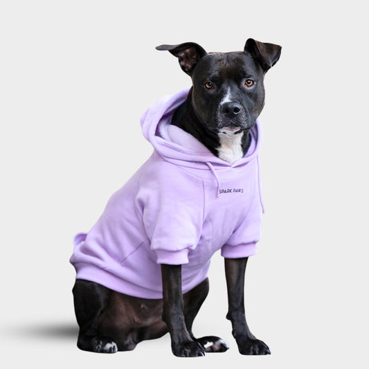 Moletom Essencial para Cachorro - Roxo Orquídea