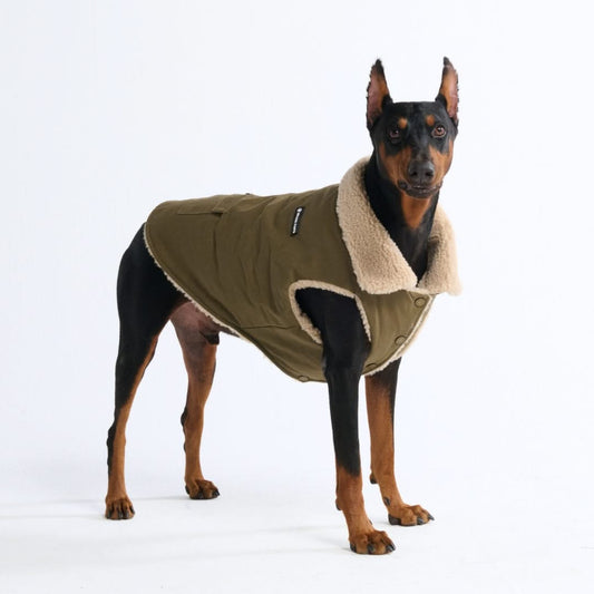 Jaqueta Utilitária Isolada Workdog - Verde