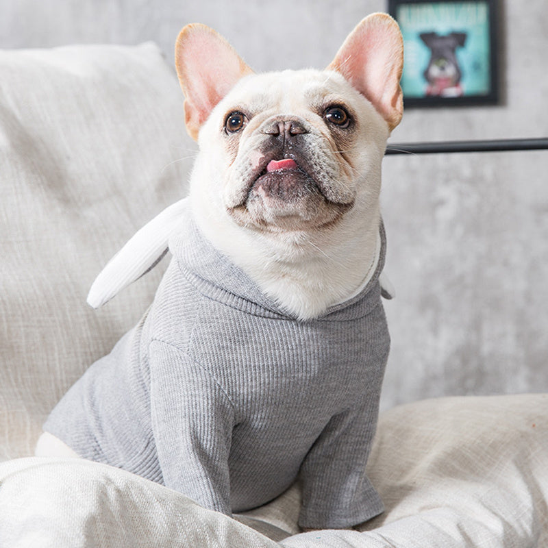 Roupas Confortáveis para Cachorros: Estilo e Proteção