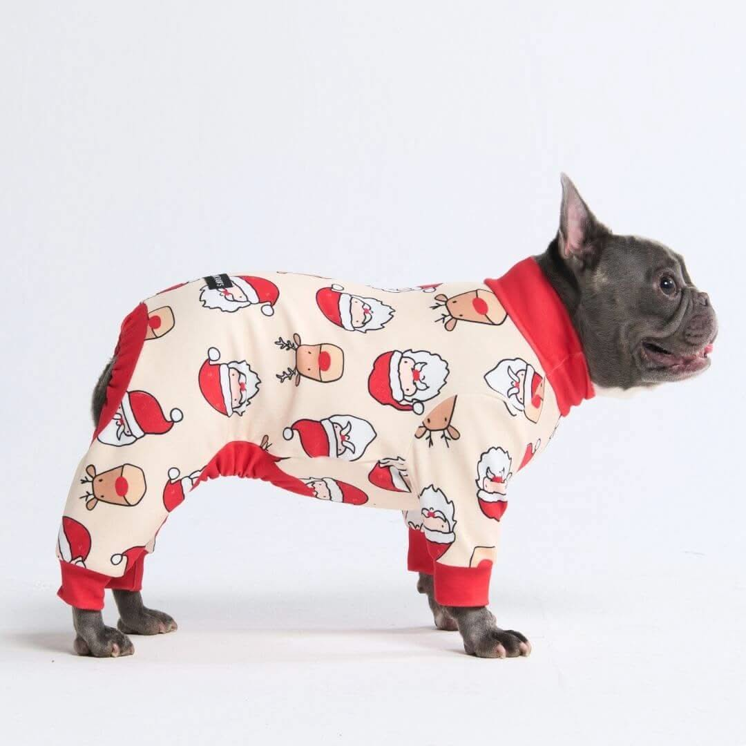 Pijamas de Natal para Cachorros