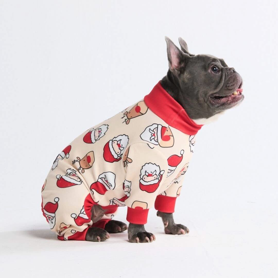 Pijamas de Natal para Cachorros