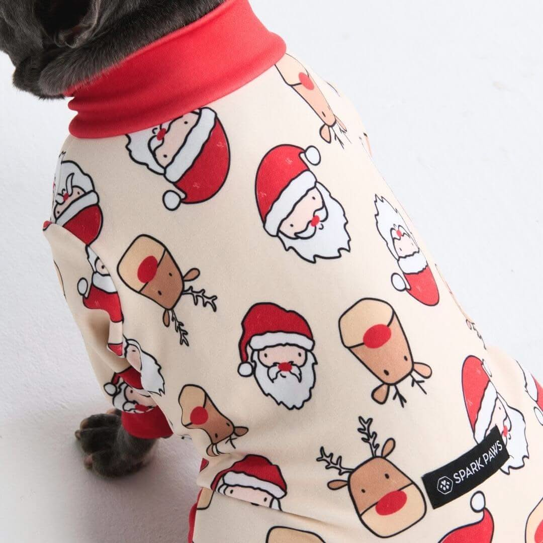 Pijamas de Natal para Cachorros