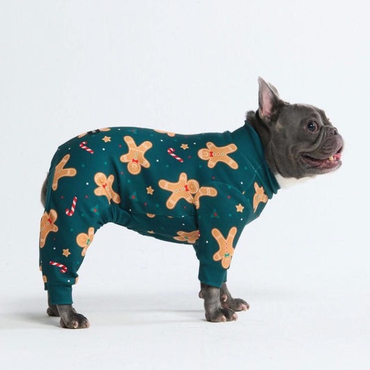 Pijamas de Natal para Cachorros