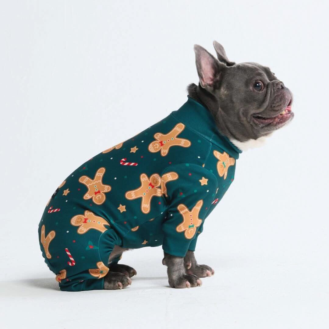 Pijamas de Natal para Cachorros