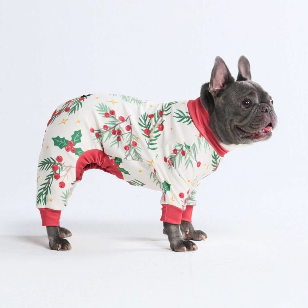 Pijamas de Natal para Cachorros