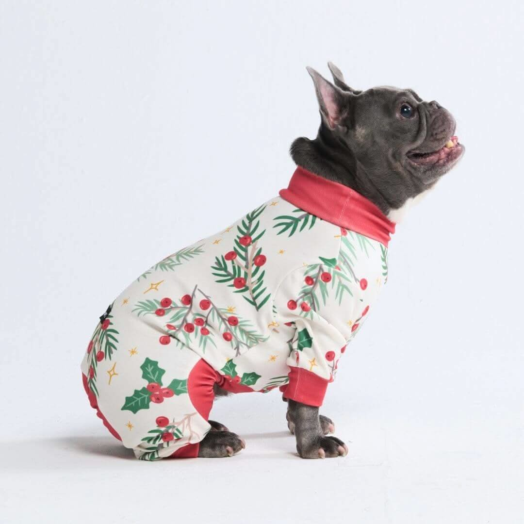 Pijamas de Natal para Cachorros