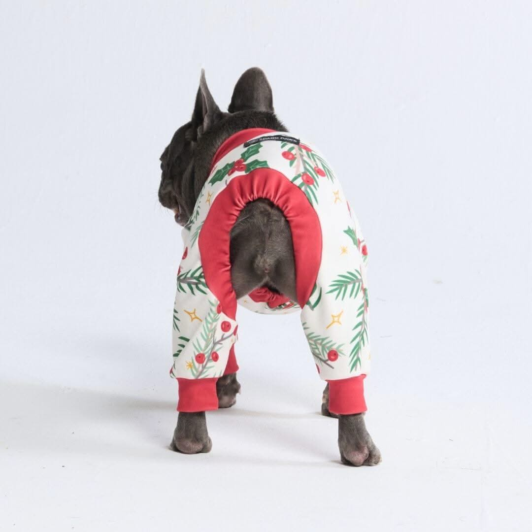 Pijamas de Natal para Cachorros