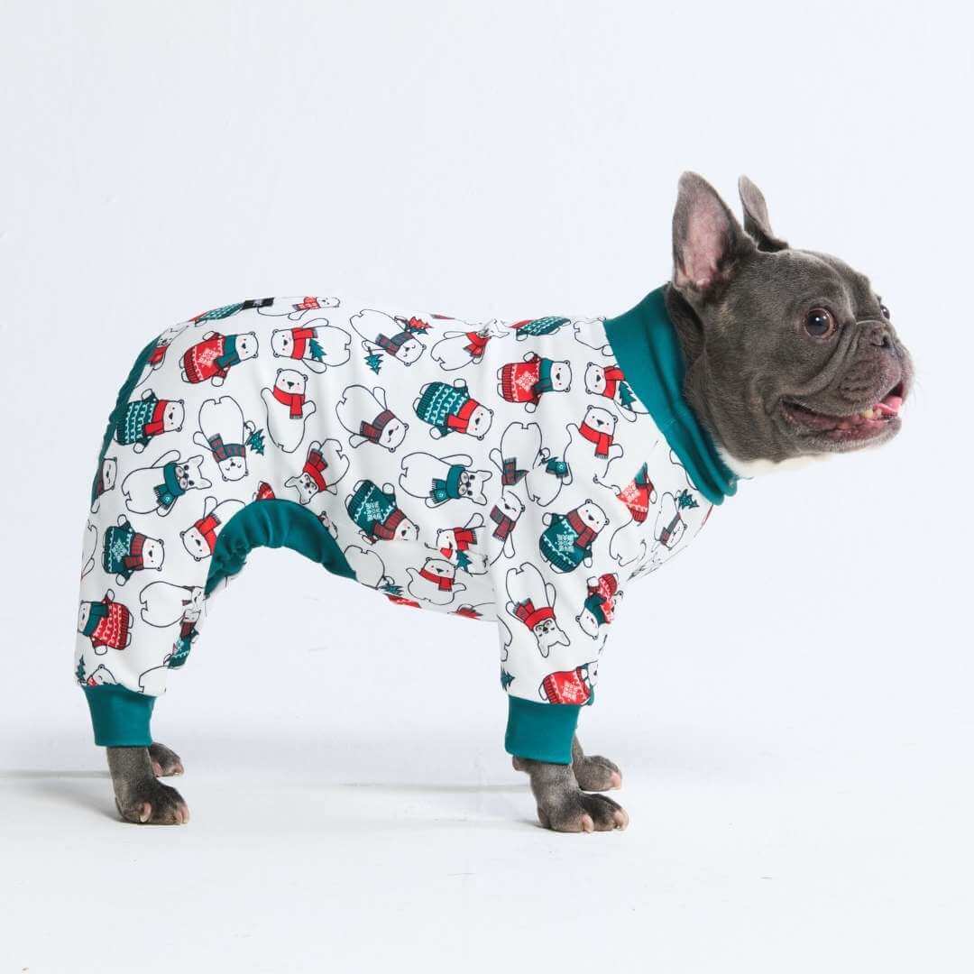 Pijamas de Natal para Cachorros