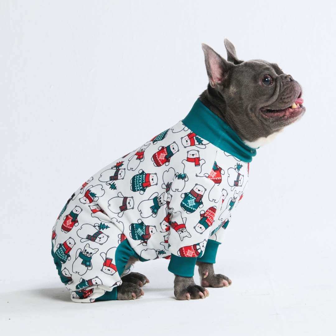 Pijamas de Natal para Cachorros