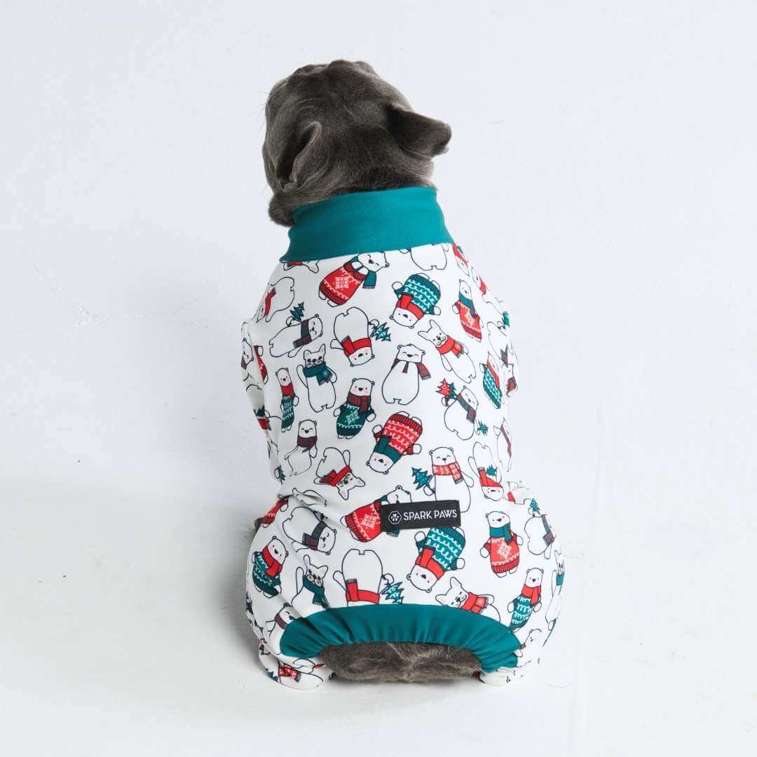 Pijamas de Natal para Cachorros