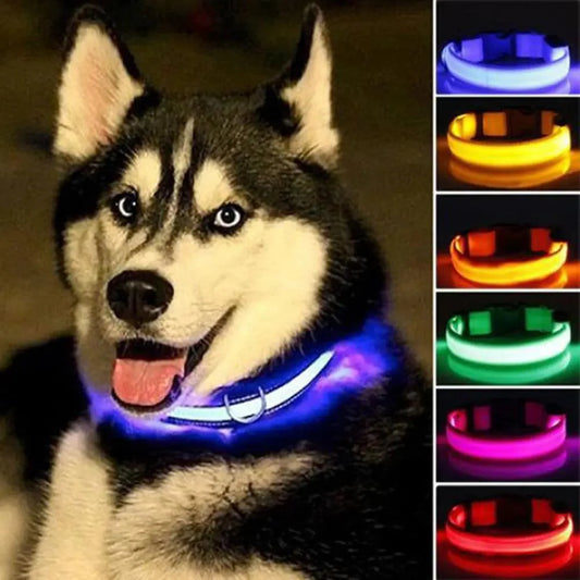 Coleira LED para Cães - Segurança Noturna com Luz de Emergência