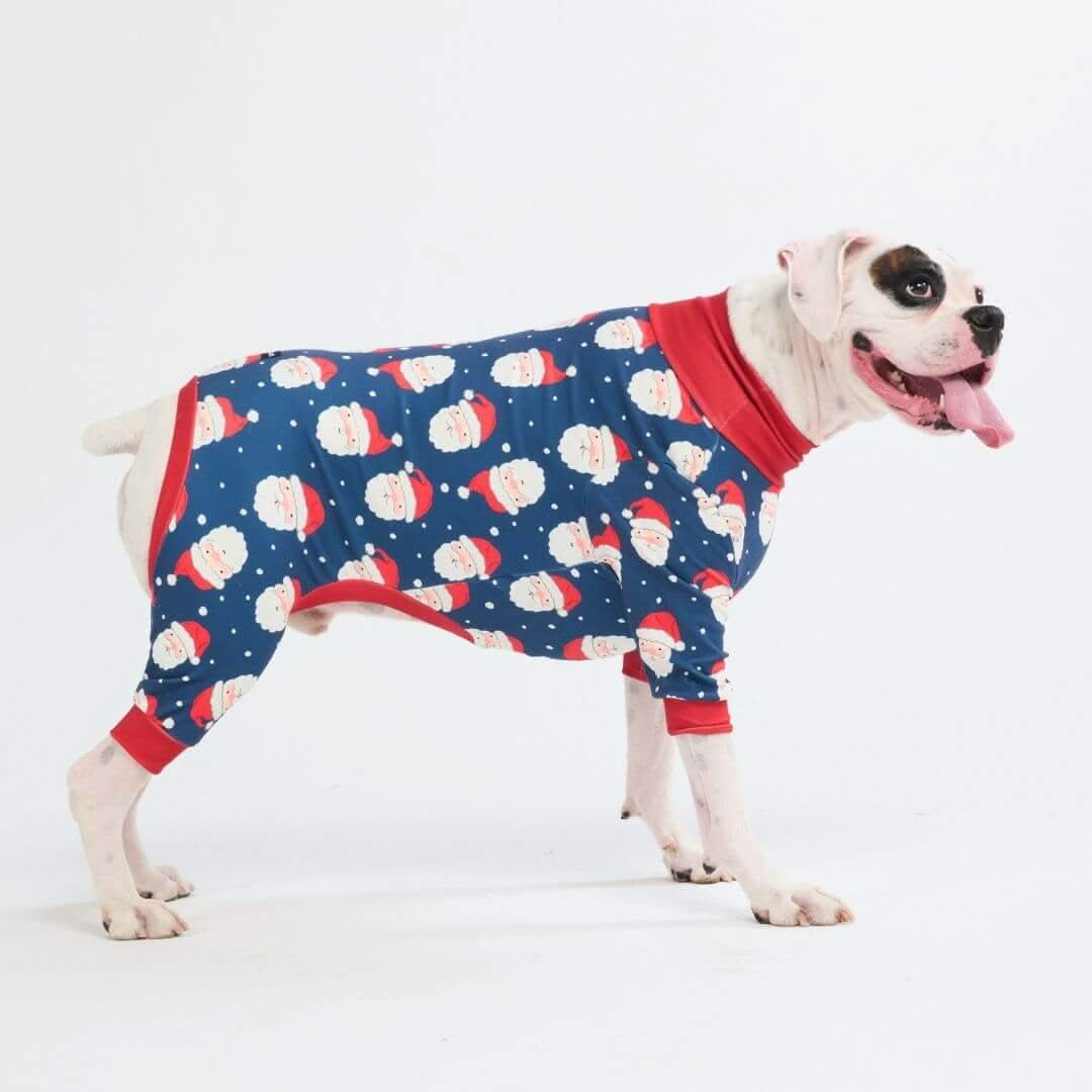 Pijamas de Natal para Cachorros