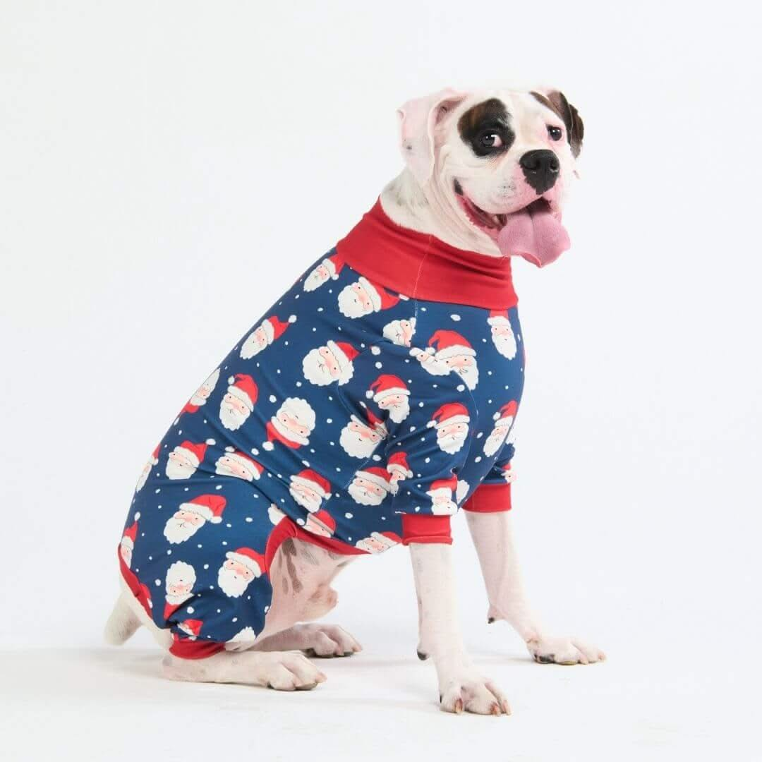 Pijamas de Natal para Cachorros