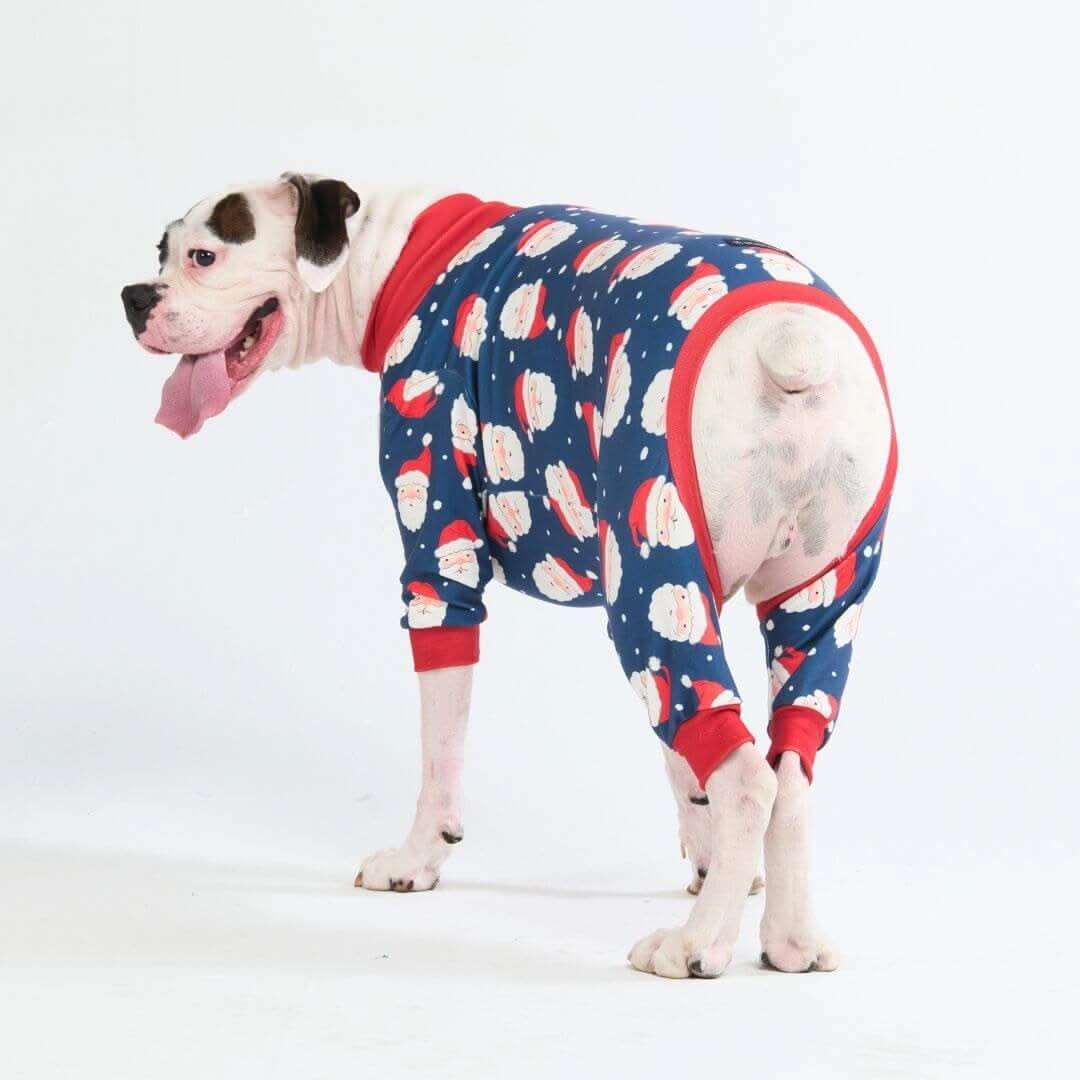 Pijamas de Natal para Cachorros