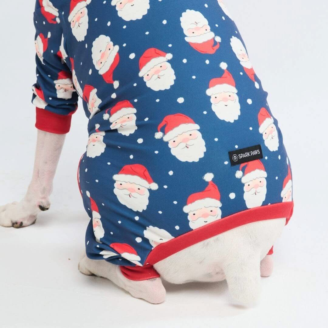 Pijamas de Natal para Cachorros