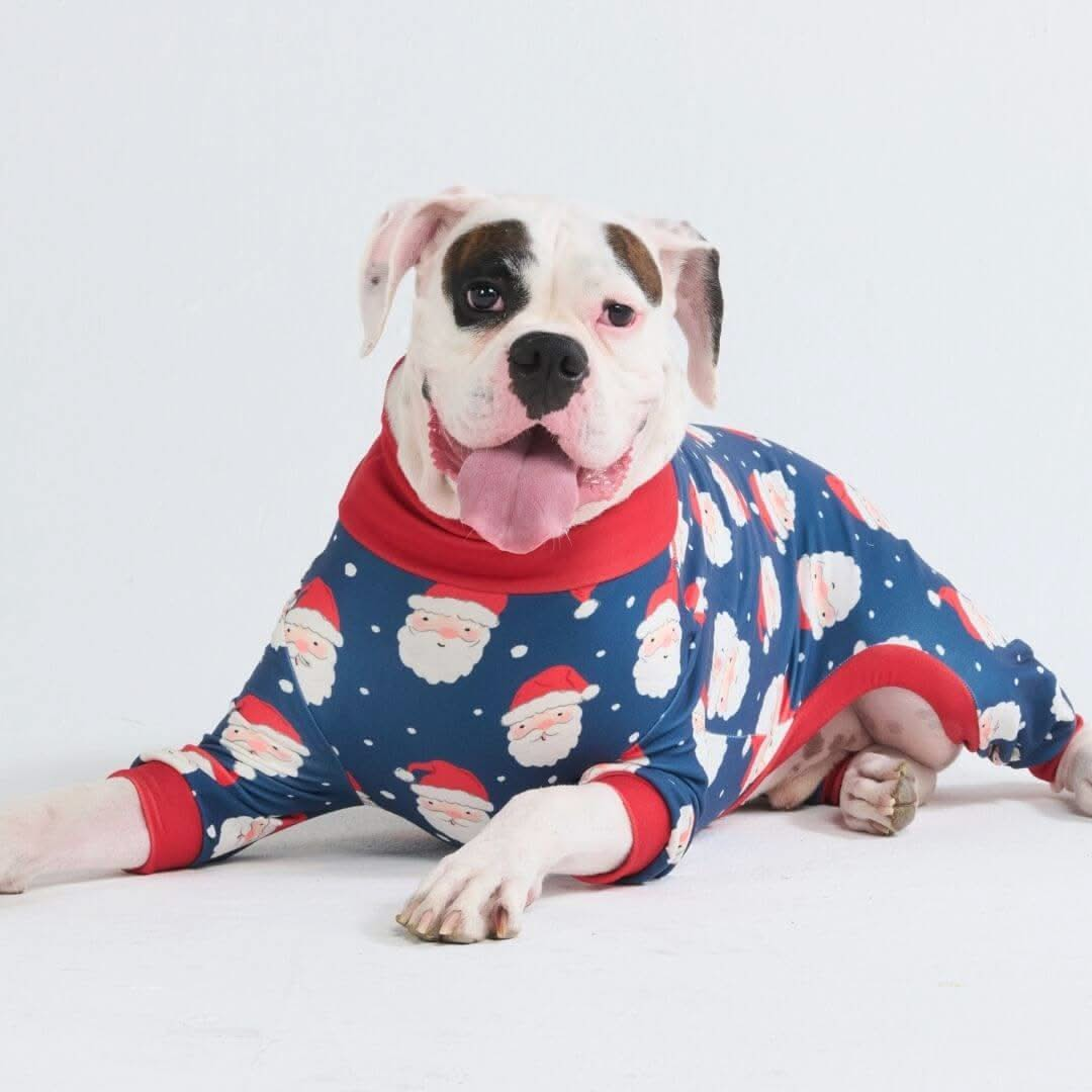 Pijamas de Natal para Cachorros