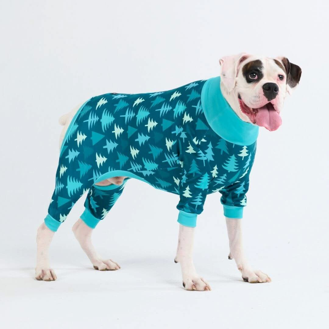 Pijamas de Natal para Cachorros