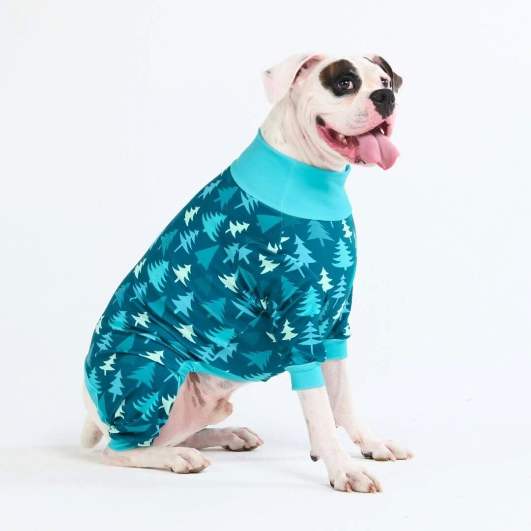 Pijamas de Natal para Cachorros