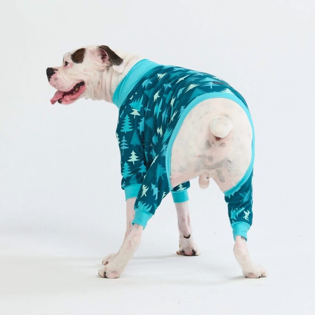 Pijamas de Natal para Cachorros