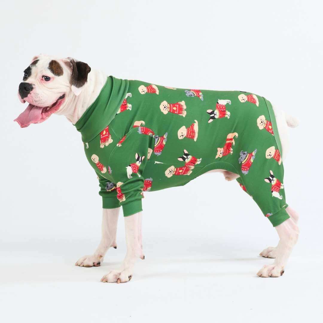 Pijamas de Natal para Cachorros