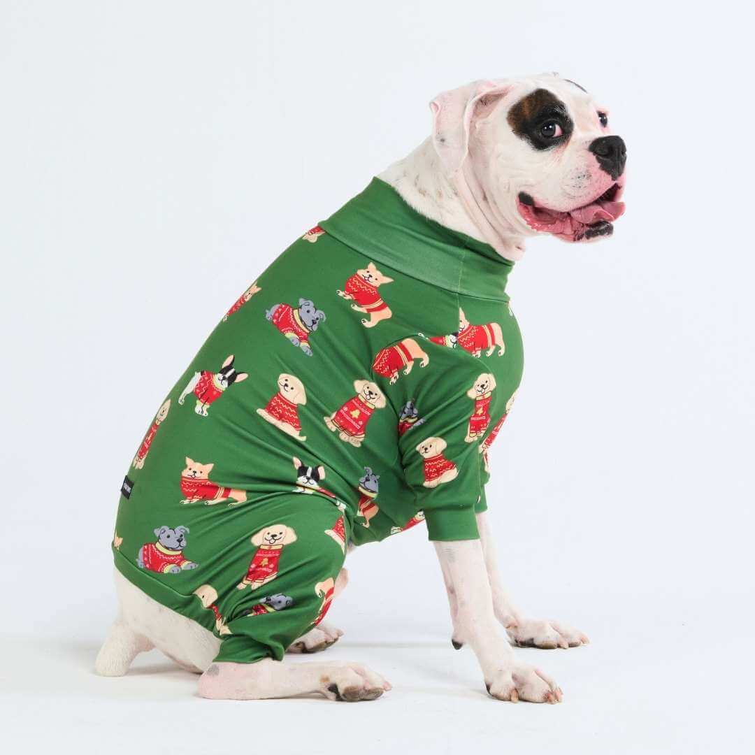 Pijamas de Natal para Cachorros