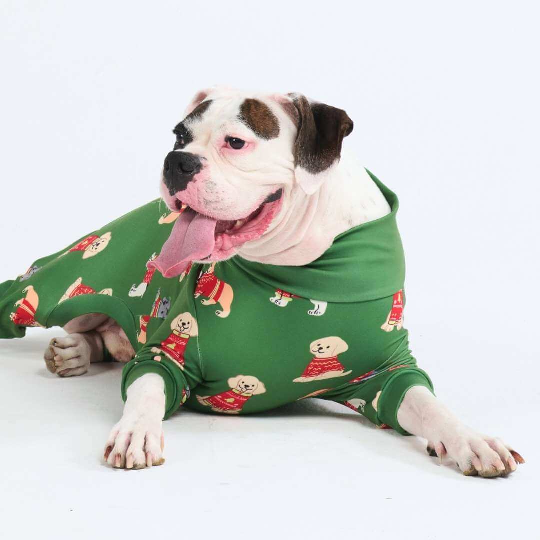 Pijamas de Natal para Cachorros