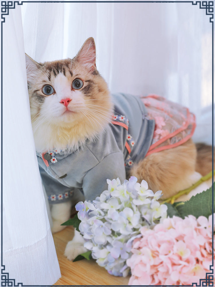 Roupas Estilosas para Gatos - Conforto e Estilo para Seu Felino