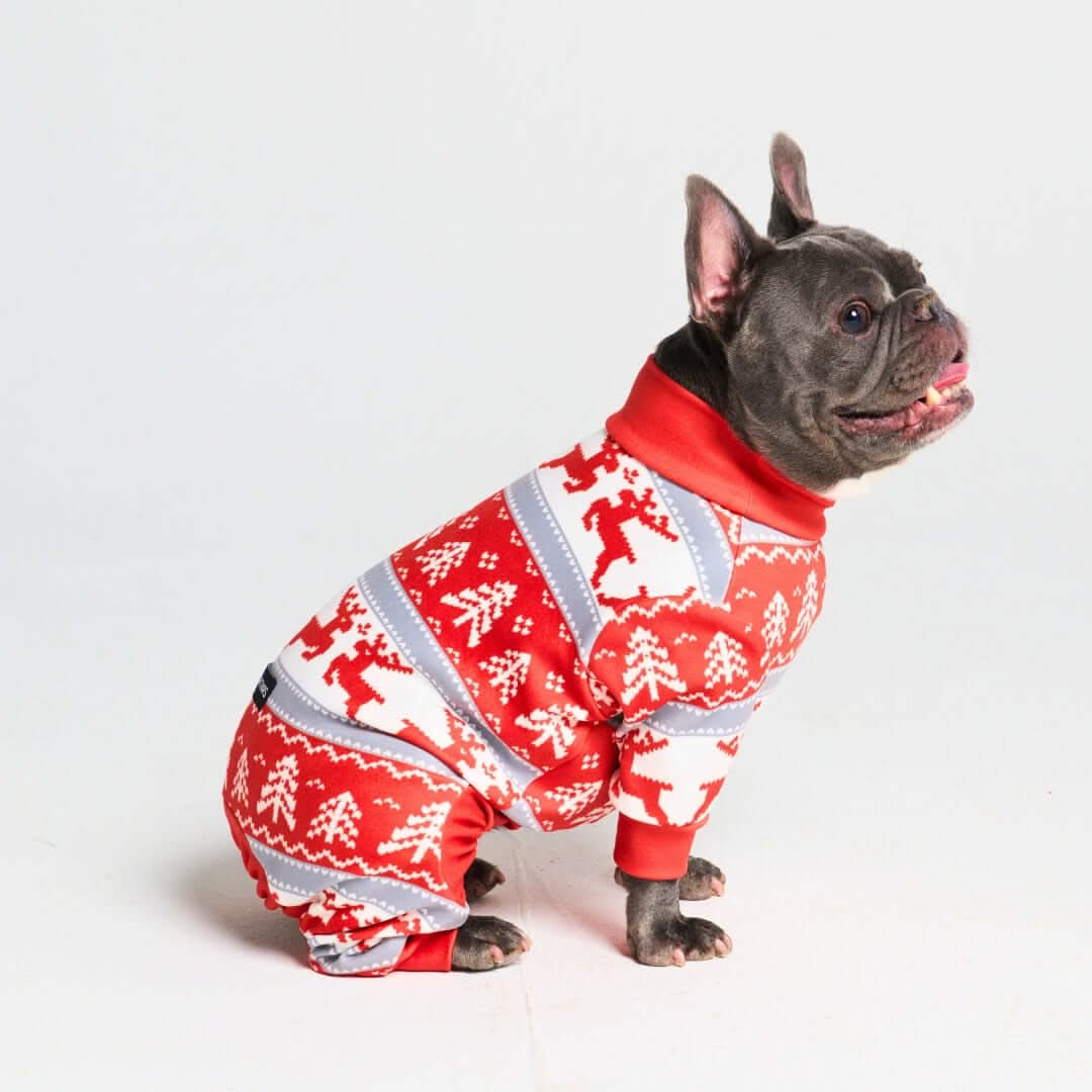 Pijamas de Natal para Cachorros