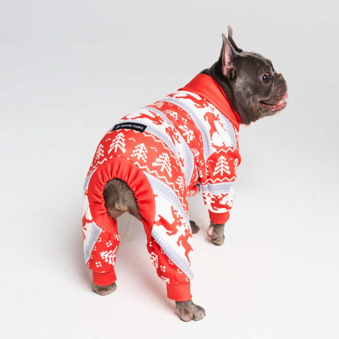 Pijamas de Natal para Cachorros