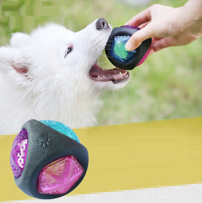 Bolinha de Brinquedo para Cães - Diversão e Estímulo