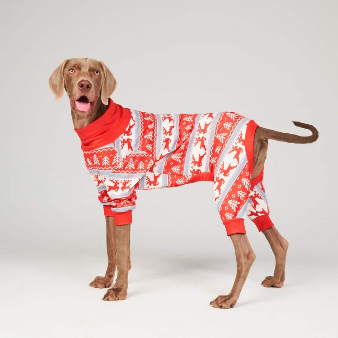 Pijamas de Natal para Cachorros