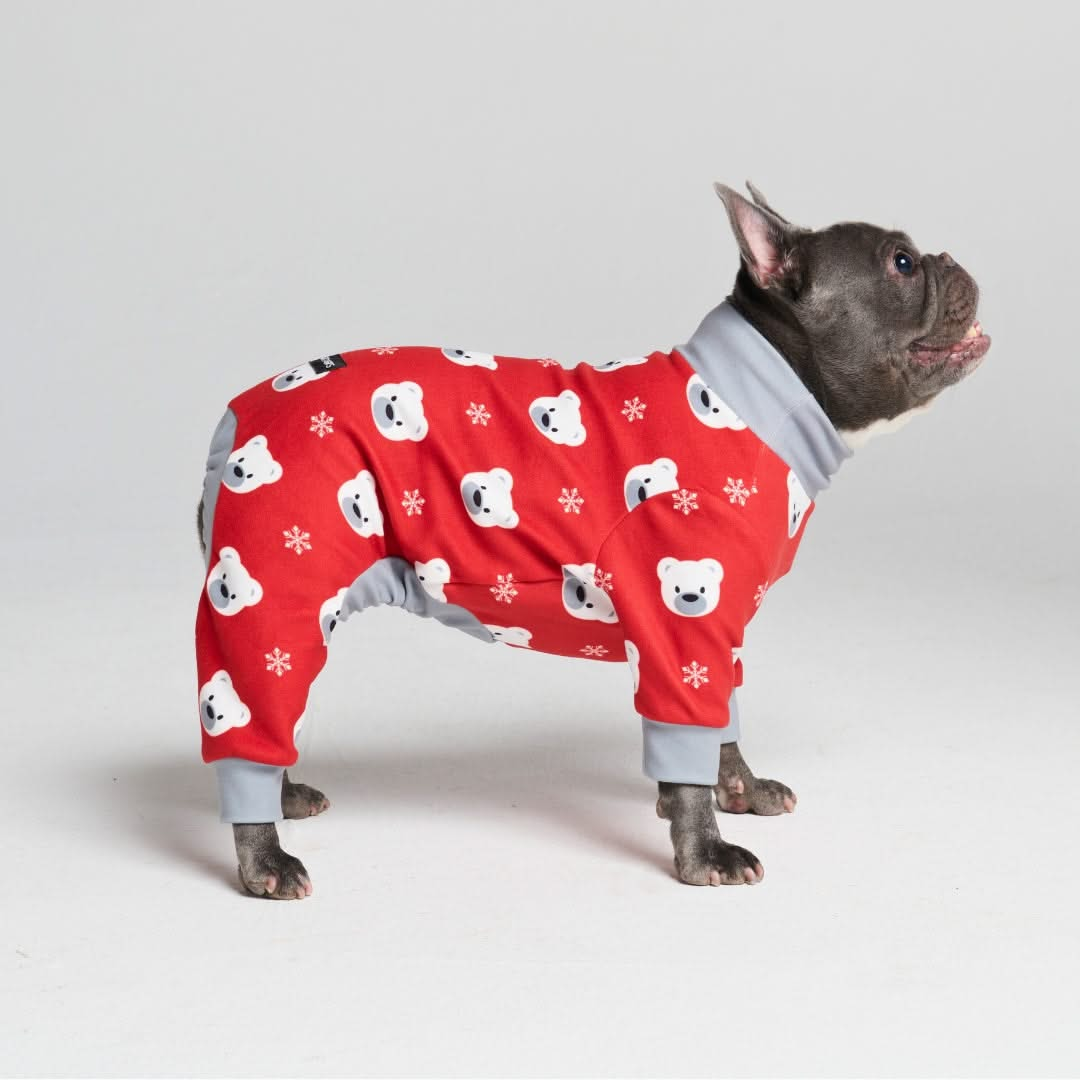 Pijamas de Natal para Cachorros