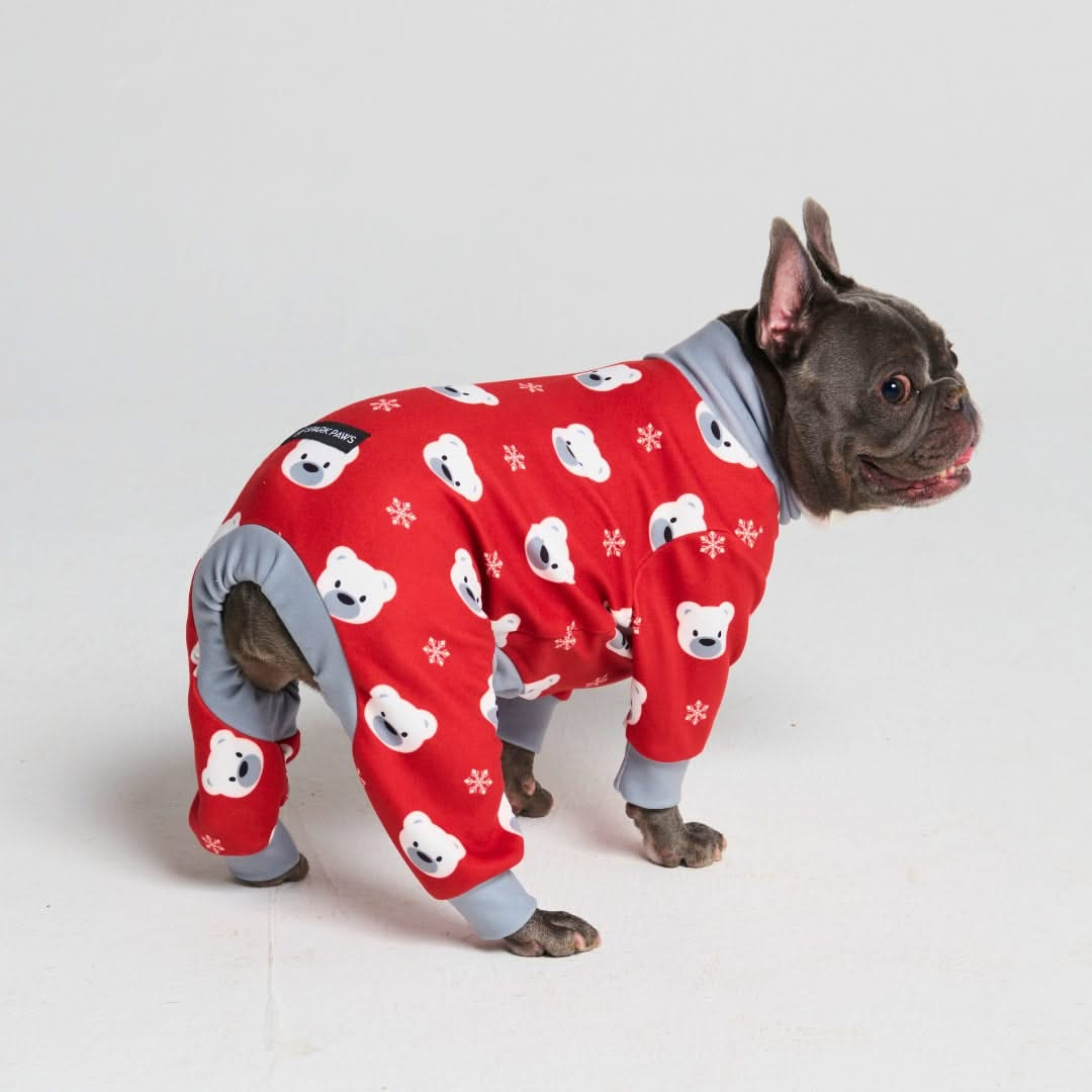 Pijamas de Natal para Cachorros