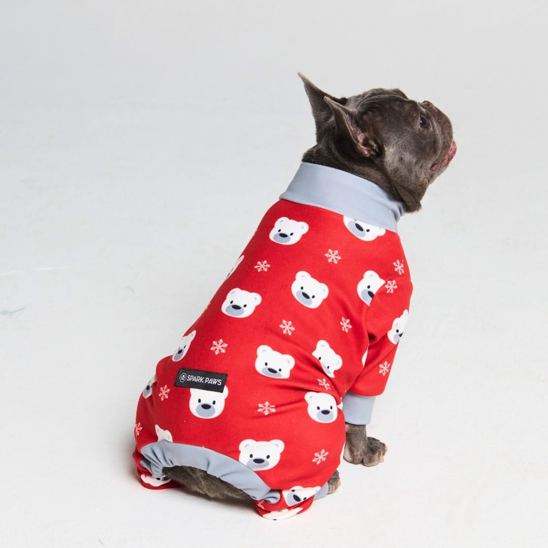 Pijamas de Natal para Cachorros