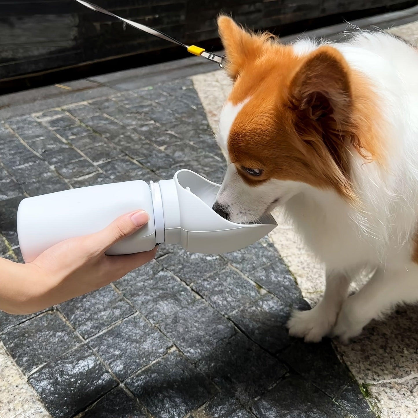 Garrafa de Água para Cachorros à Prova de Vazamentos - Dispenser Silicônico Dobrável com Tigela