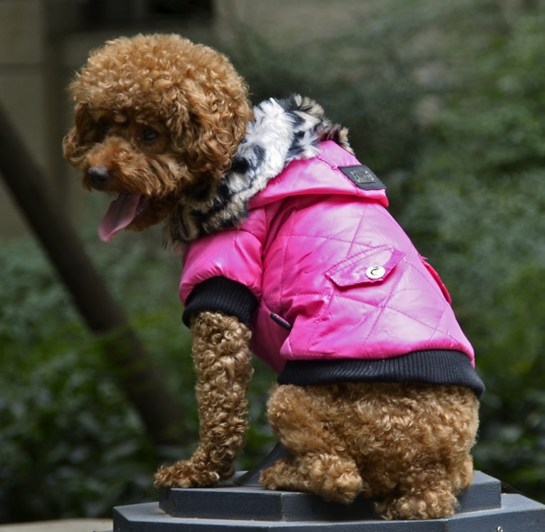 Casaco de Pelo para Cães - Outono e Inverno