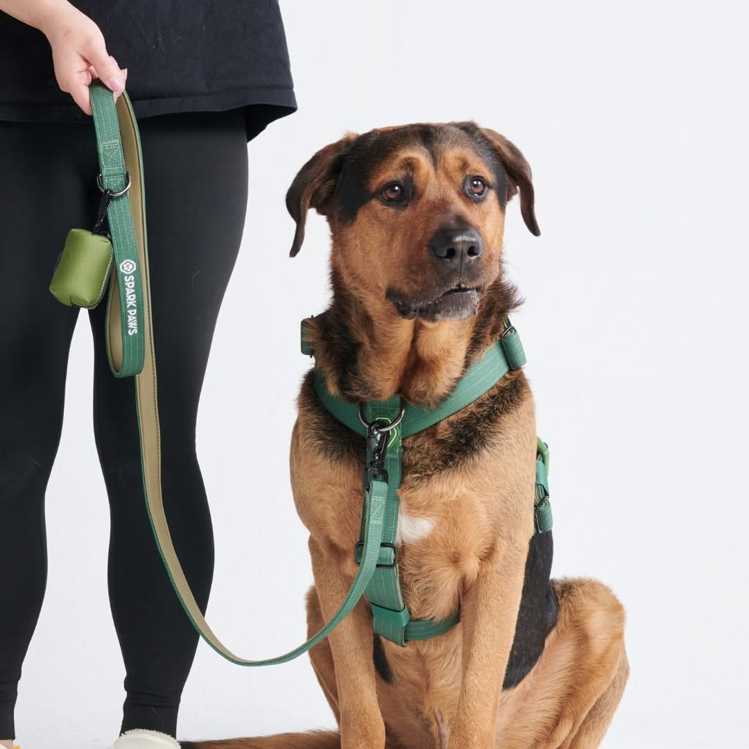 Conjunto de Guia e Porta-Saco para Fezes - Verde Militar