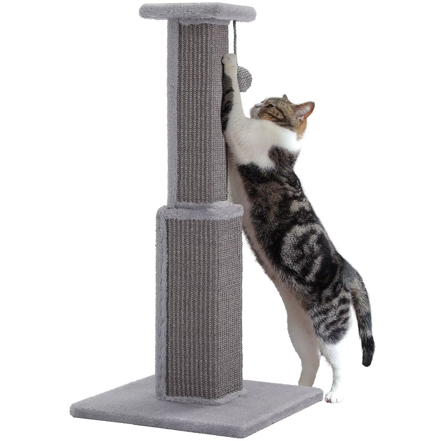 Torre Arranhadora para Gatos: Conforto e Entretenimento