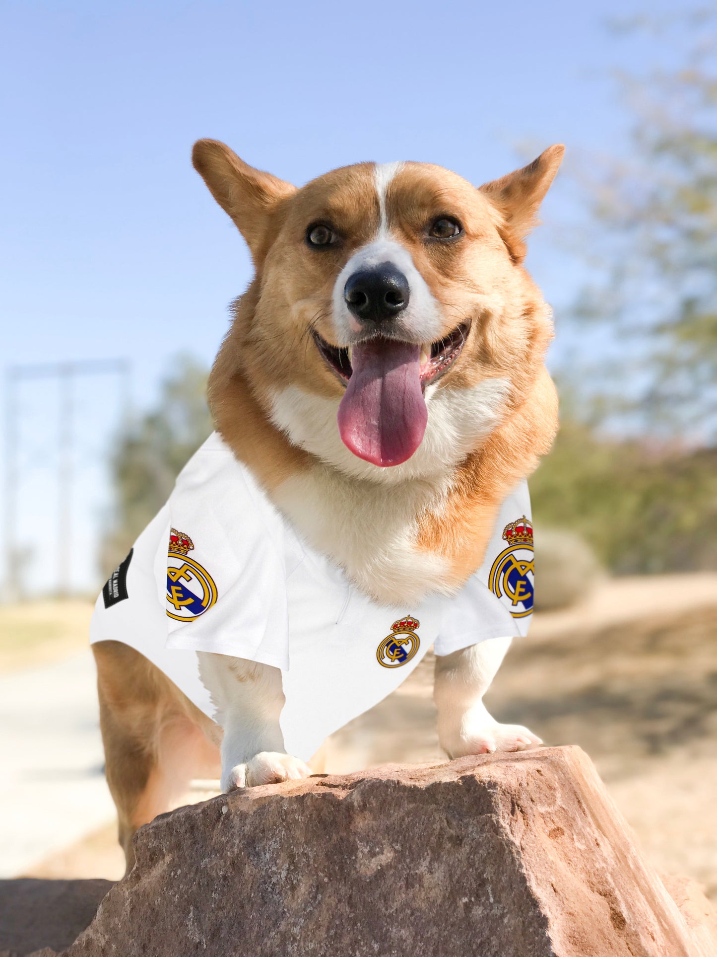 Camisa de Futebol para Cachorros e Gatos - Estilo e Conforto para Pets