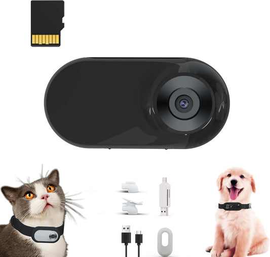 Câmera para Gatos HD 1080P com Cartão SD 16GB - Acessório para Pets