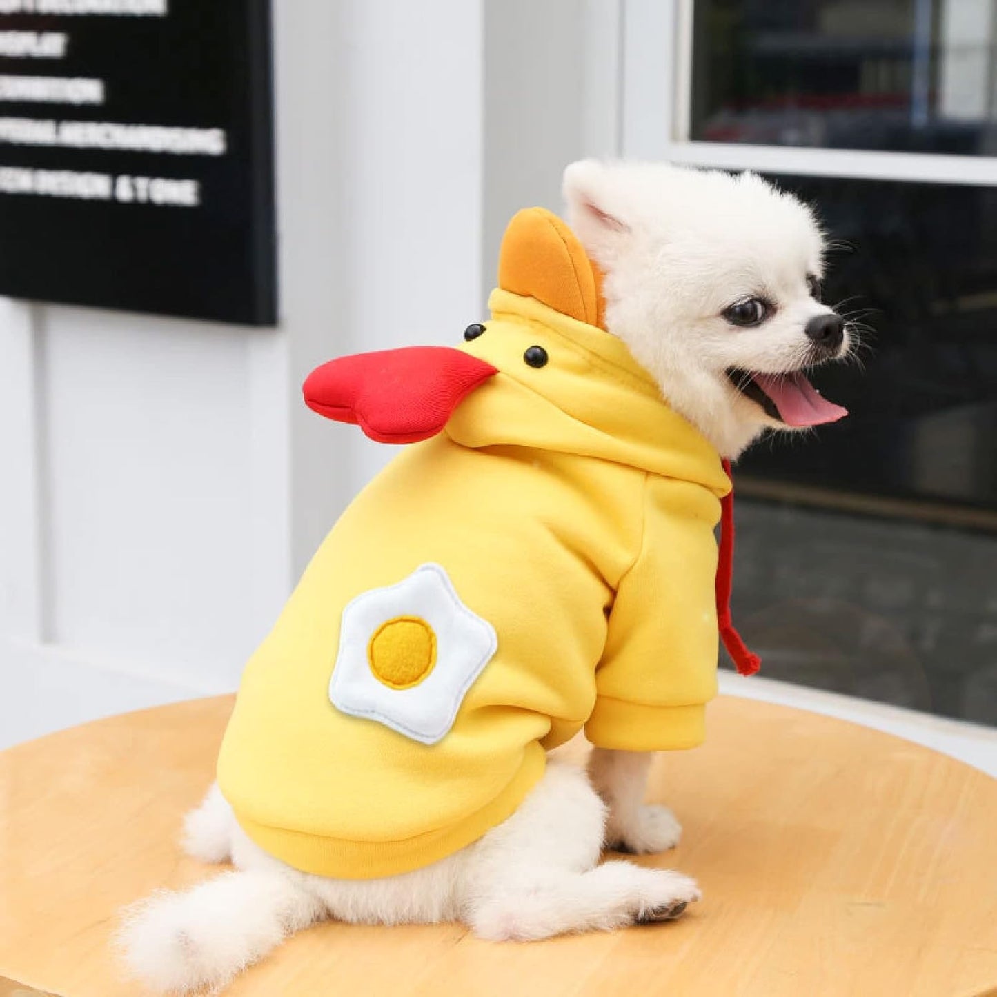 Casaquinho de Inverno para Cães com Capuz e Estampa Divertida