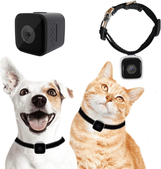 Câmera de Collares para Gatos: Gravação Sem Wi-Fi e App