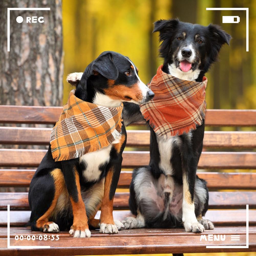 Bandana de Natal para Cachorro com Borlas - Pacote com 2 Peças em Estampa Xadrez