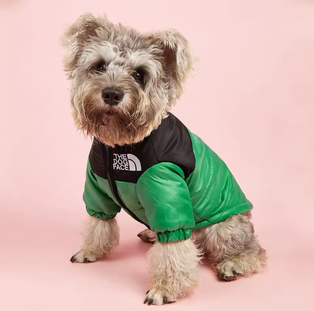 Jaqueta Puffer Aquecida para Cães - Conforto e Estilo