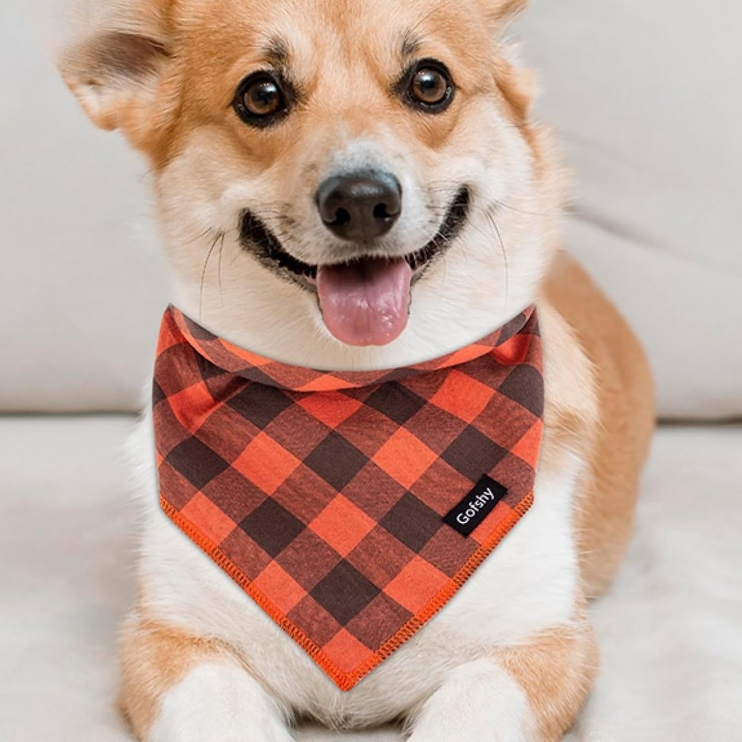 Bandana Ajustável para Cachorros - Estampa Colorida e Vibrante