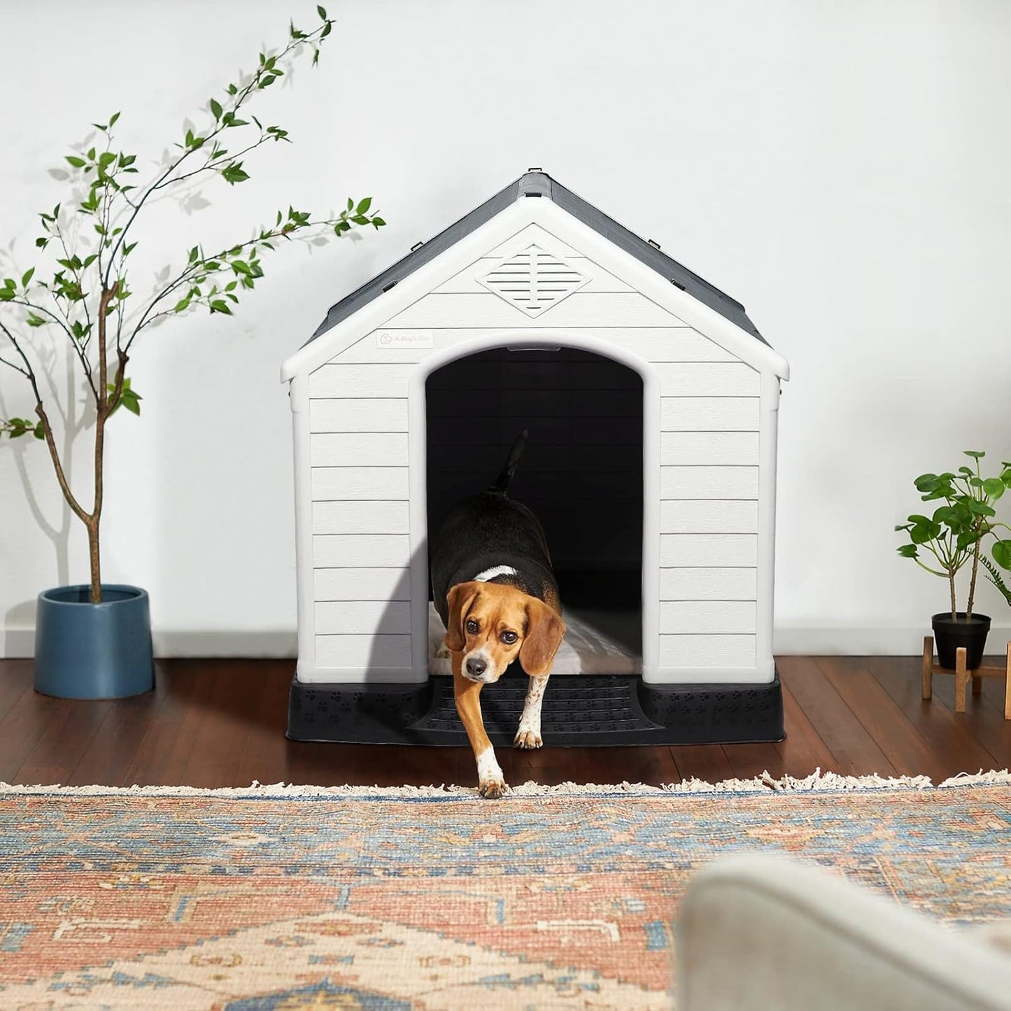 Casa de Plástico Impermeável para Cachorros - Refúgio Durável e Elevado para Interiores e Exteriores