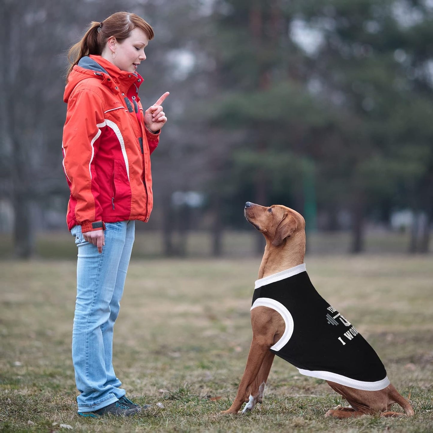 Camisetas Divertidas para Cachorros - Roupas Frescas e Confortáveis para Pets