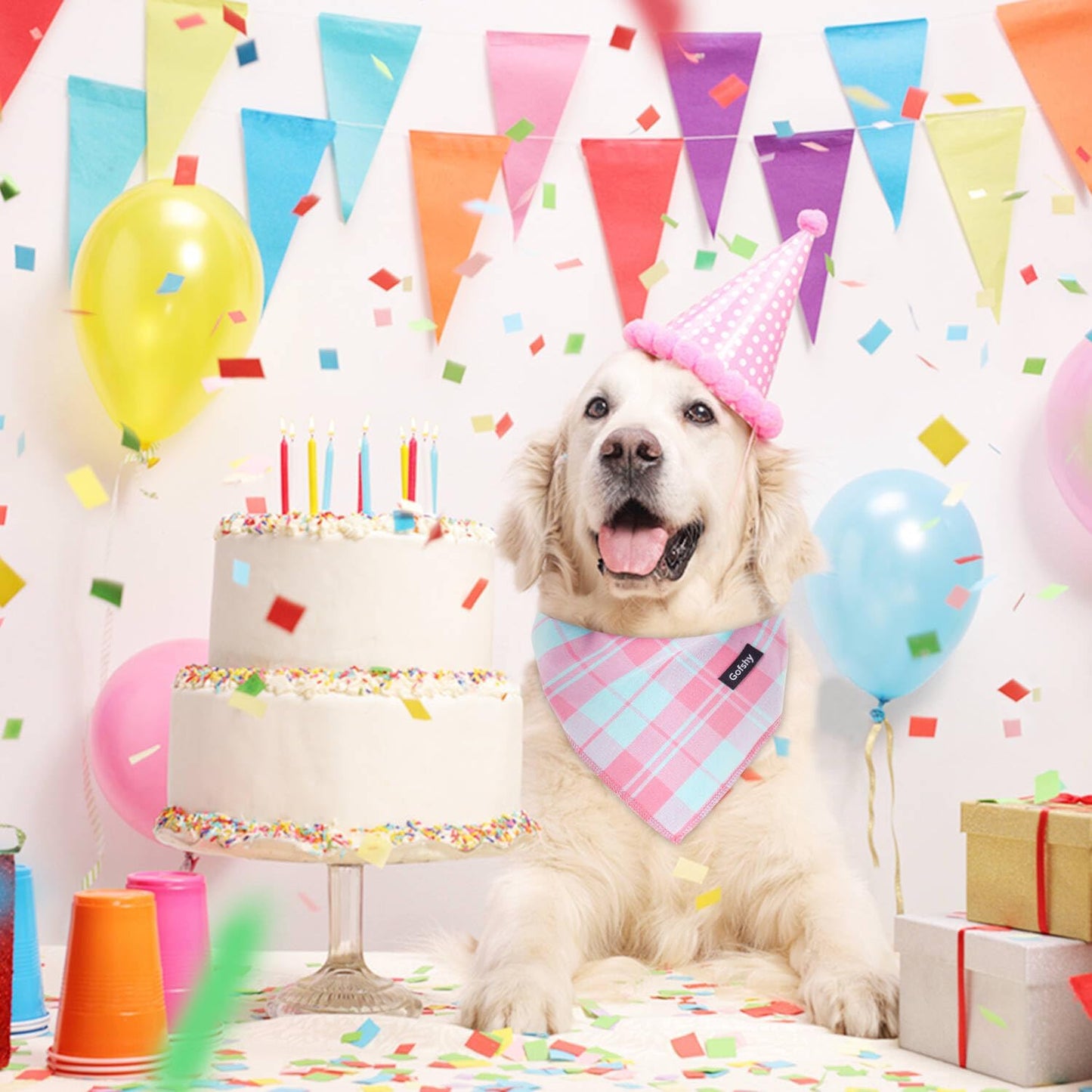 Bandana Ajustável para Cachorros - Estampa Colorida e Vibrante